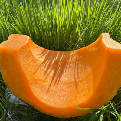 Courge musquée (Portion)