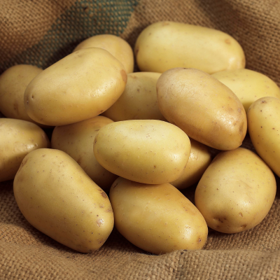 Pomme de terre Mona Lisa