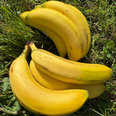 Bananes