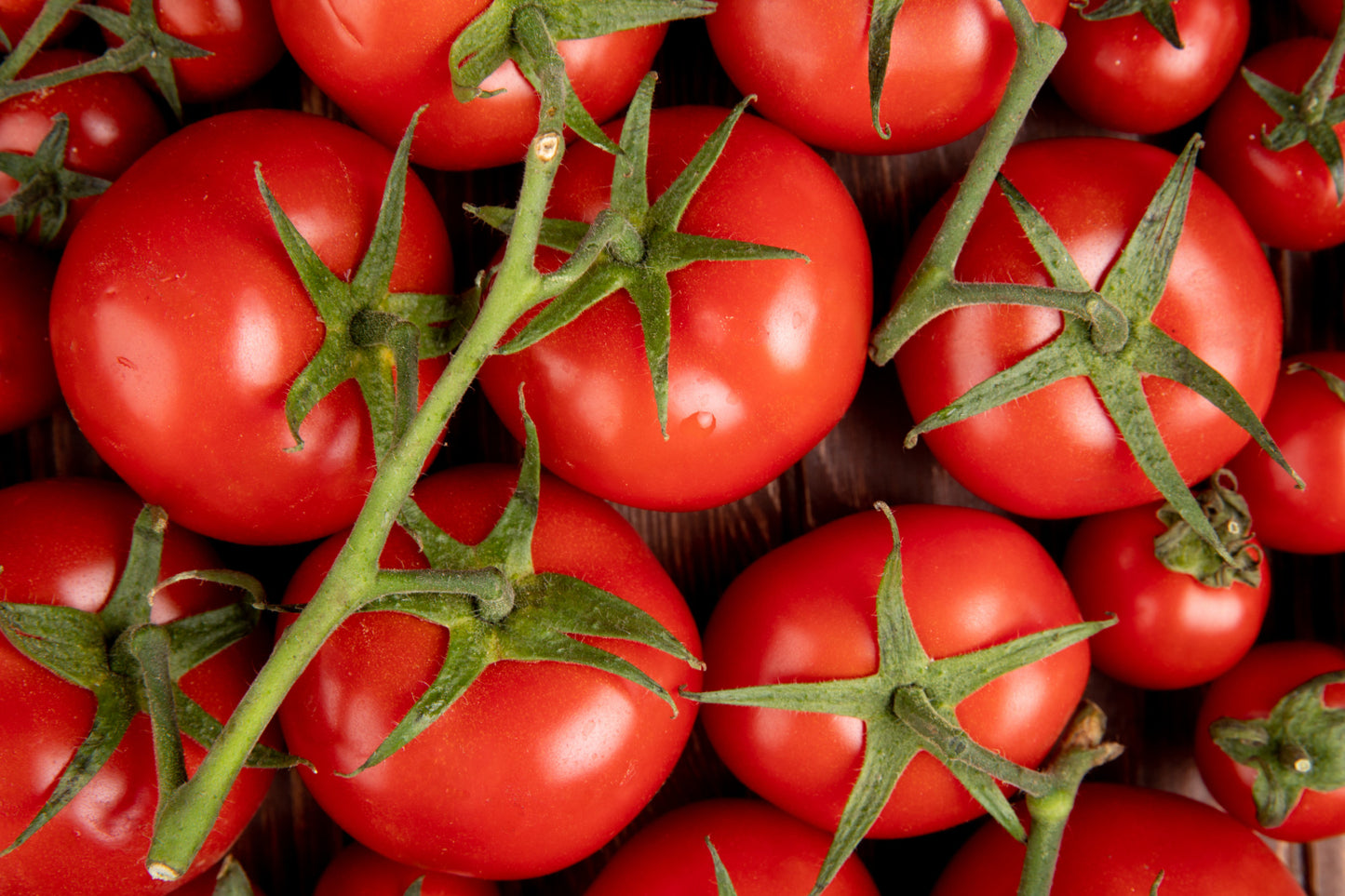 Tomates Grappes