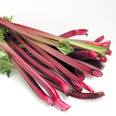 Rhubarbe