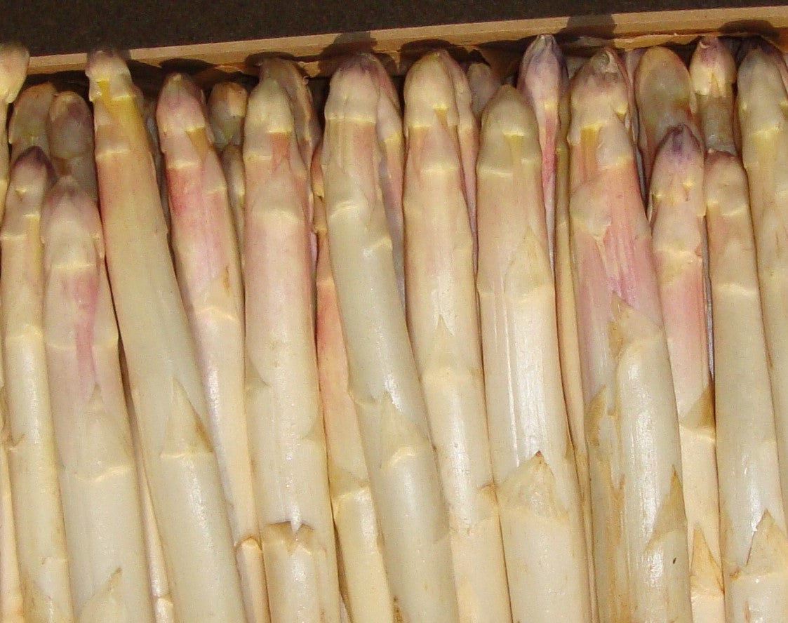 Asperges Violettes 1kg