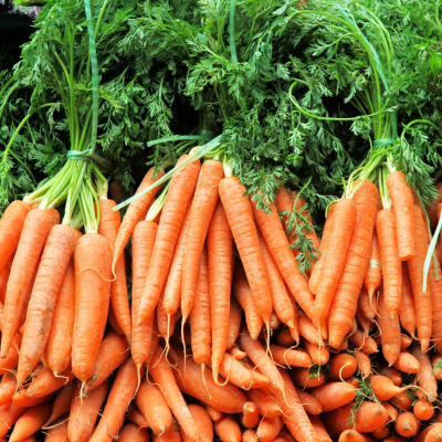 Carottes