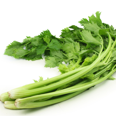 Céleris Branche 1/2 botte