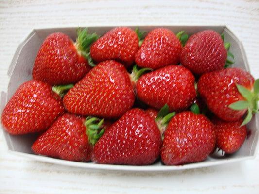 Fraises Gariguettes 250g