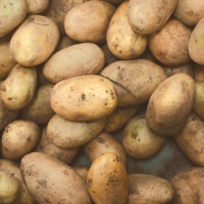 Pommes de Terre délicatesse